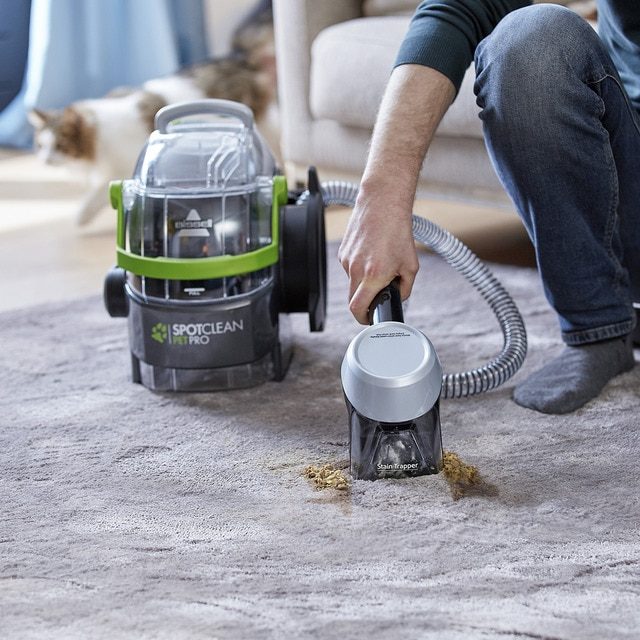 6 Best Carpet Cleaners for Pet Stains